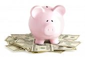 stock photo of investment  - Pink piggy bank on dollars - JPG 