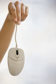 picture of mouse  - Woman holding a computer mouse by its wire - JPG 