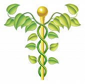 picture of nature  - Natural caduceus concept can be used for natural or alternative medicine etc - JPG 