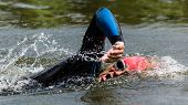 stock photo of competition  - Triathlete in a competition is swimming in a lake - JPG 