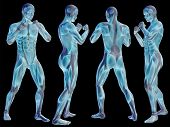 stock photo of health  - High resolution concept or conceptual human or man 3D anatomy body with muscle isolated on black background as metaphor to medicine - JPG 