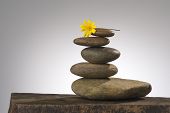 foto of business concept  - balancing river rocks with daisy on top - JPG 