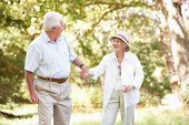 pic of laughter  - Senior Couple Walking In Park - JPG 