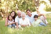 image of family  - Portrait Of Extended Family Group In Park - JPG 