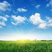 pic of landscape  - Summer landscape with rapeseed field - JPG 