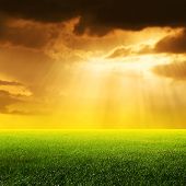 picture of rays  - Sun rays over field - JPG 