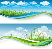 stock photo of summer  - Summer grass banners - JPG 