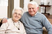 picture of home  - Portrait Of Happy Senior Couple At Home - JPG 