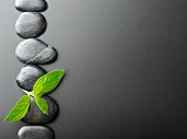 stock photo of zen  - row zen stones and bamboo leaf on the black - JPG 