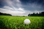 image of golf  - Golf ball on the field - JPG 